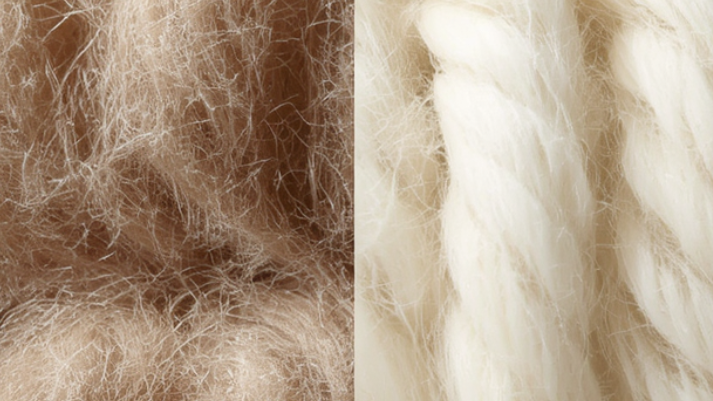 Alpaca vs. Cashmere: Which Luxury Fiber Is Truly Better for the Planet?